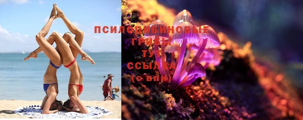 молекула духа Ельня