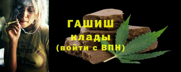 молекула духа Ельня