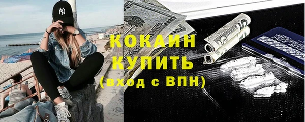 молекула духа Ельня