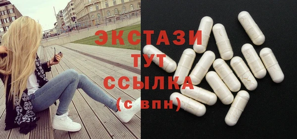 молекула духа Ельня