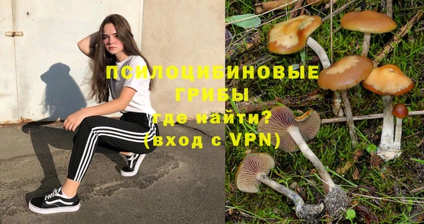 мдма Елизово