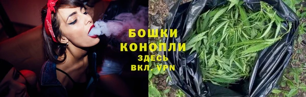 молекула духа Ельня