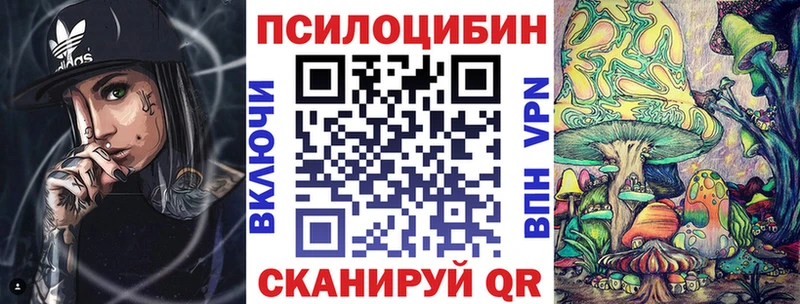 Псилоцибиновые грибы Psilocybe Губаха