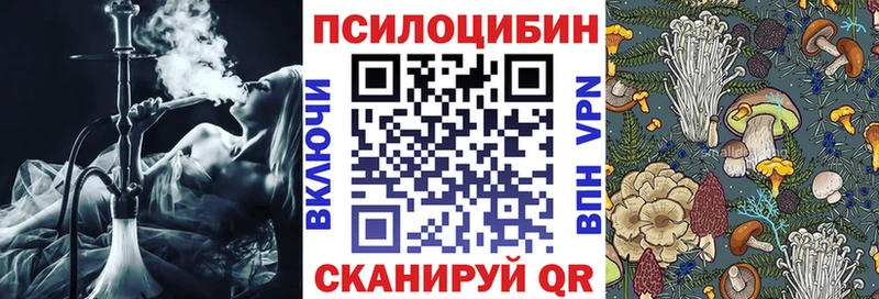 Галлюциногенные грибы мицелий  Купить закладки  Губаха 